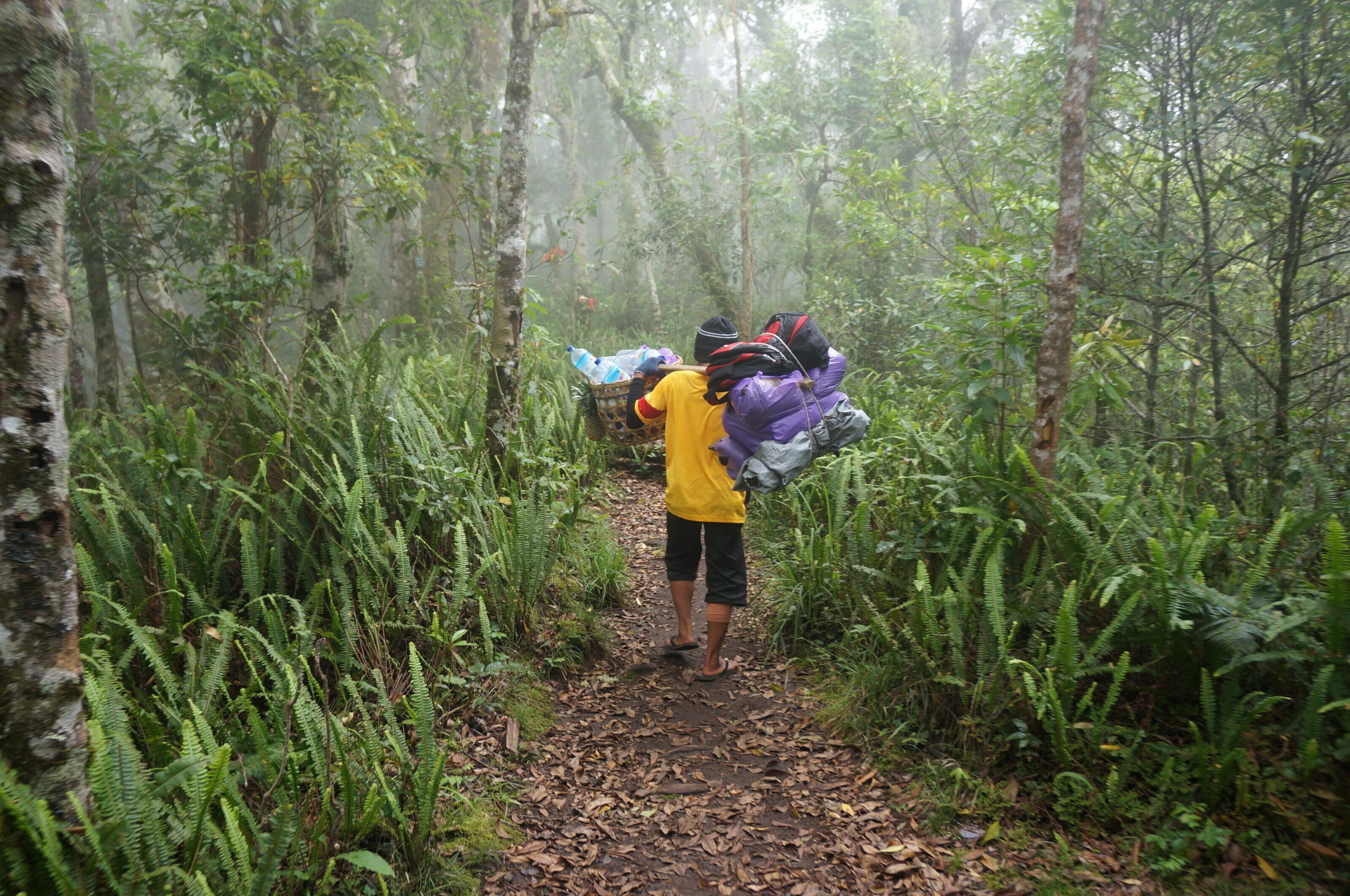 Mont Rinjani Le Guide Pour Un Trek Inoubliable Sur L Le De Lombok