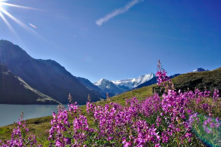 Val d'Hérens Tour: A hike from Thyon to Les Haudères, Switzerland