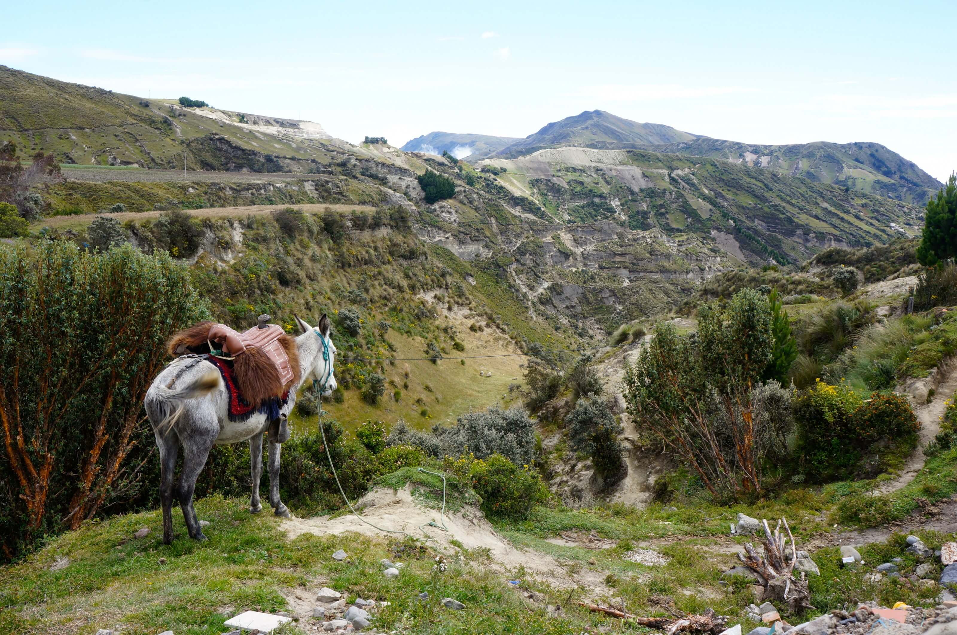 Our travel budget in Ecuador: how much did we spend?