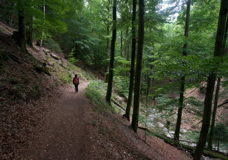 Le Chasseron and the gorges of Covatannaz: 2 hikes in the canton of Vaud