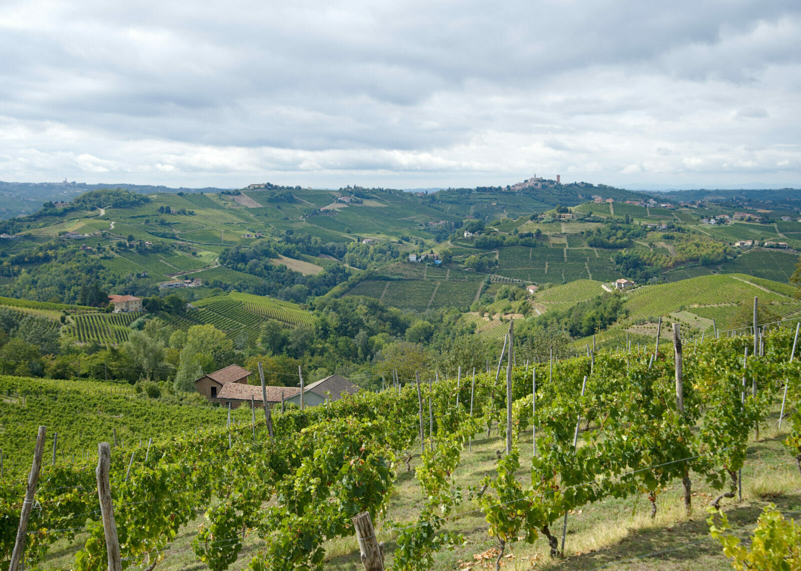 Roadtrip in the Piedmont wine region: the best spots and villages