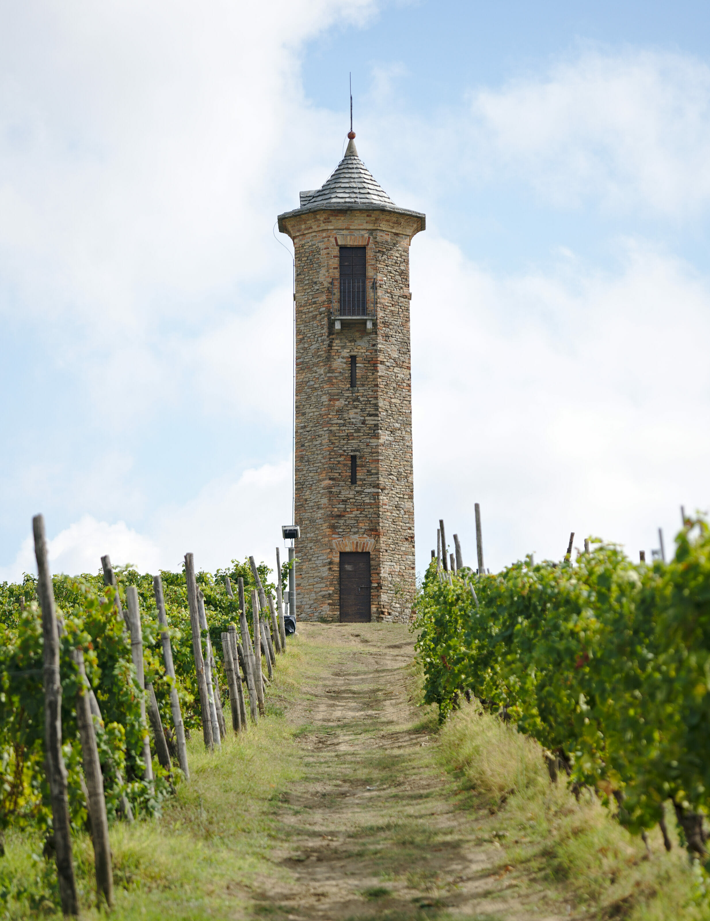 Roadtrip in the Piedmont wine region: the best spots and villages