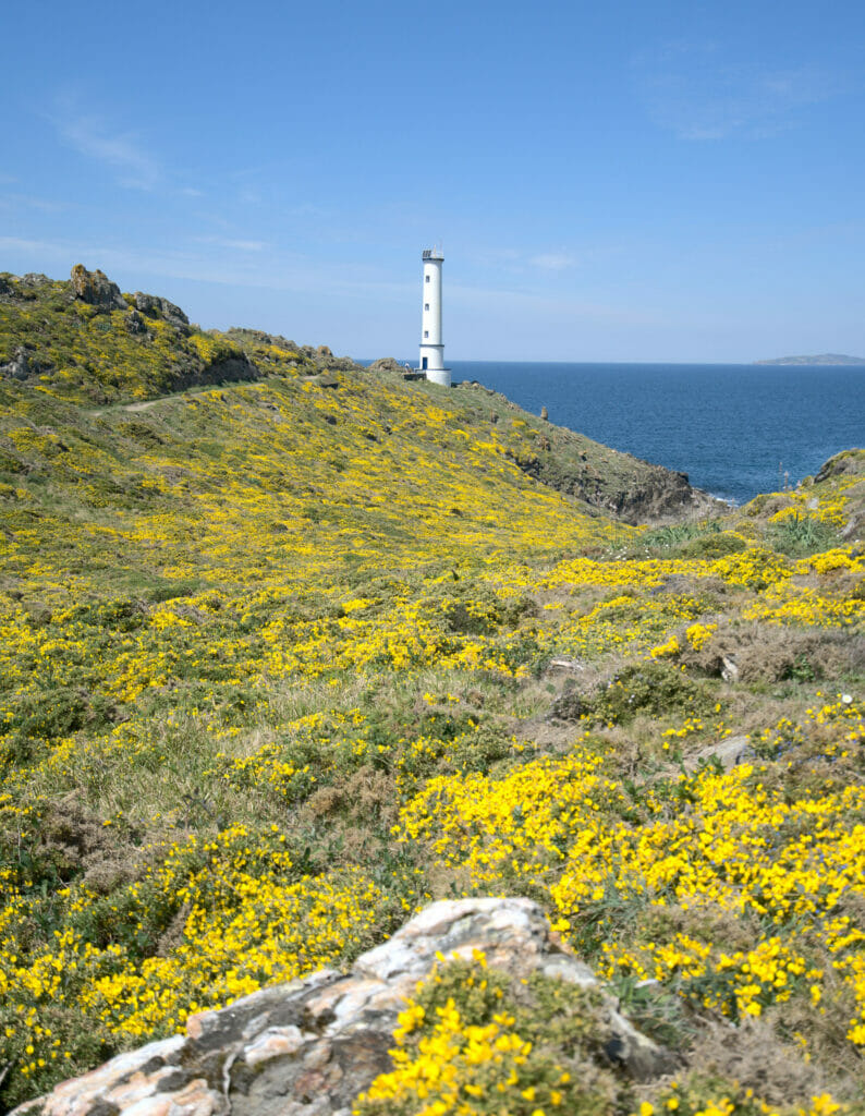 phare galice