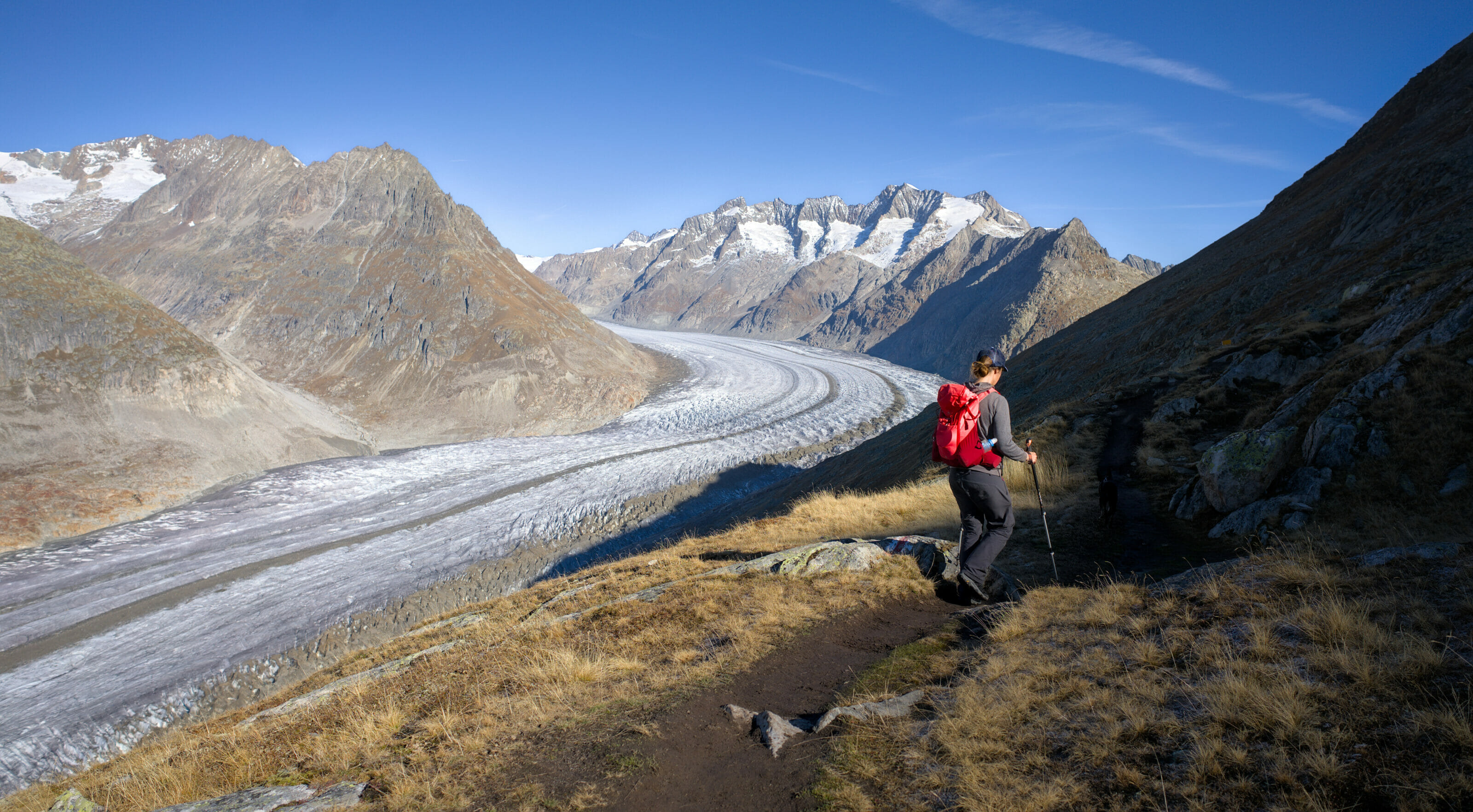 randonner au glacier d'Aletsch