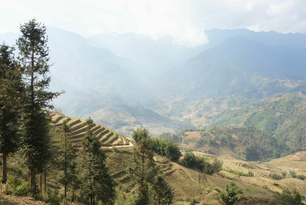 pendant le trek, vue sur les rizières de sapa