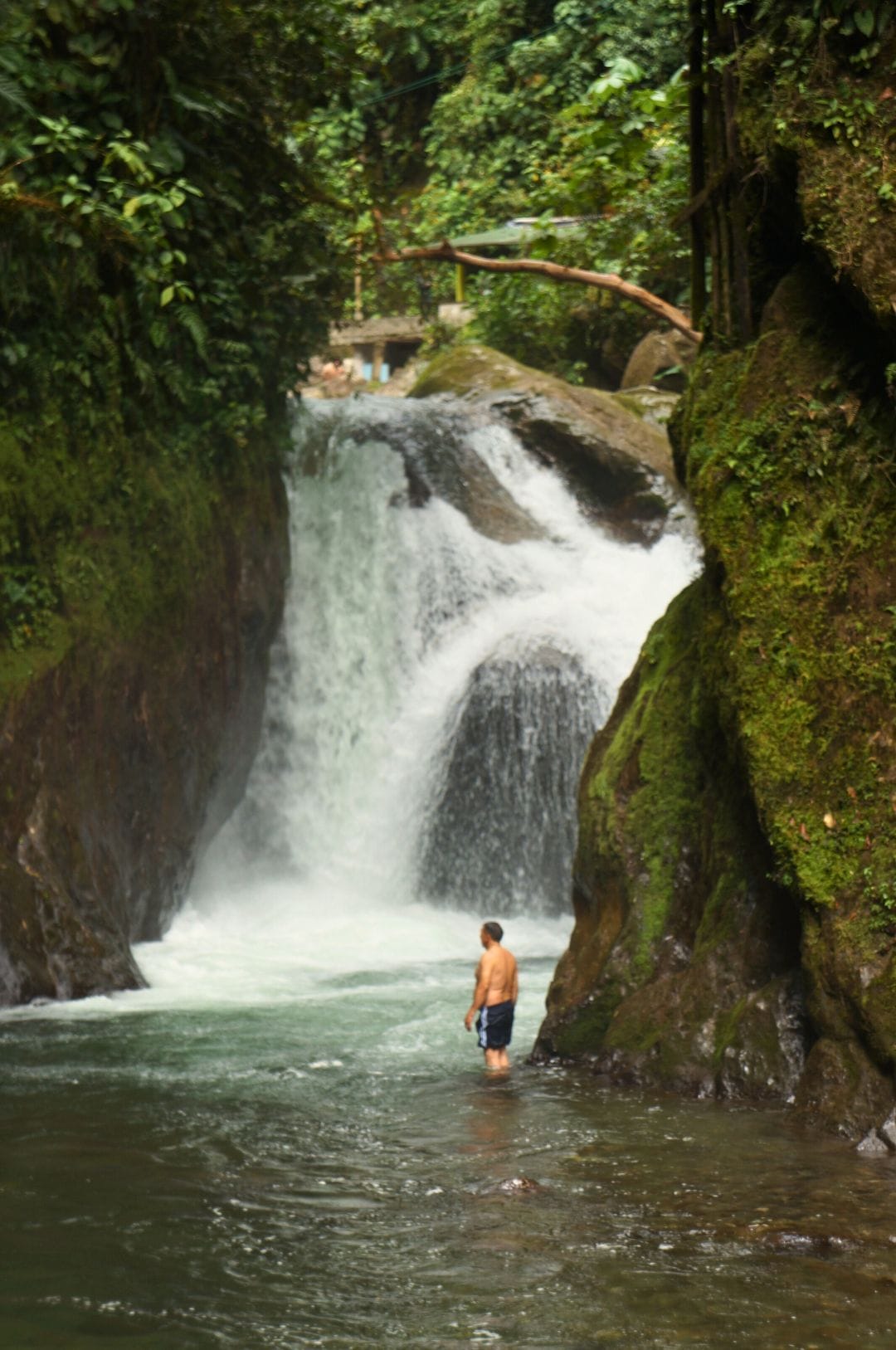 Mindo: The best place in Ecuador to see butterflies and waterfalls