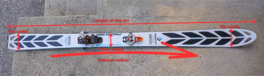 ski length and width characteristics