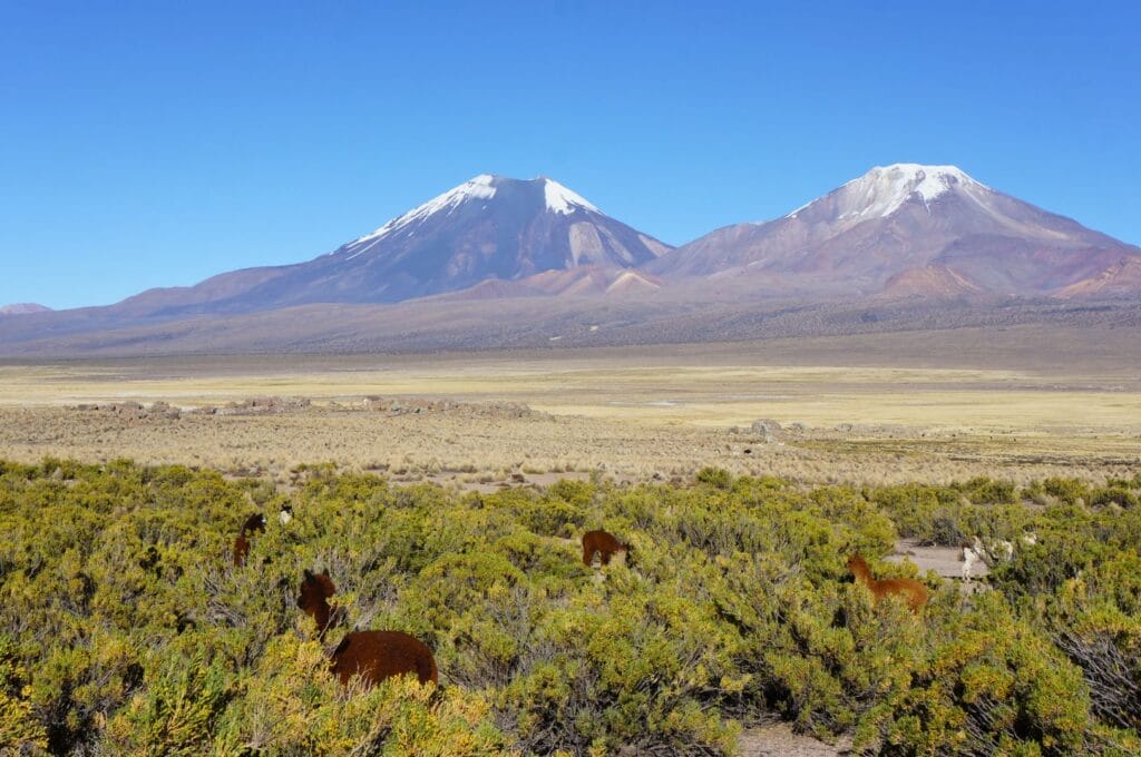 les volcans Parinacota et Pomerape depuis le parc national Lauca en Bolivie