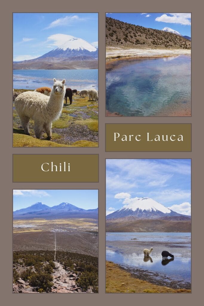 visiter le parc national Lauca au Chili