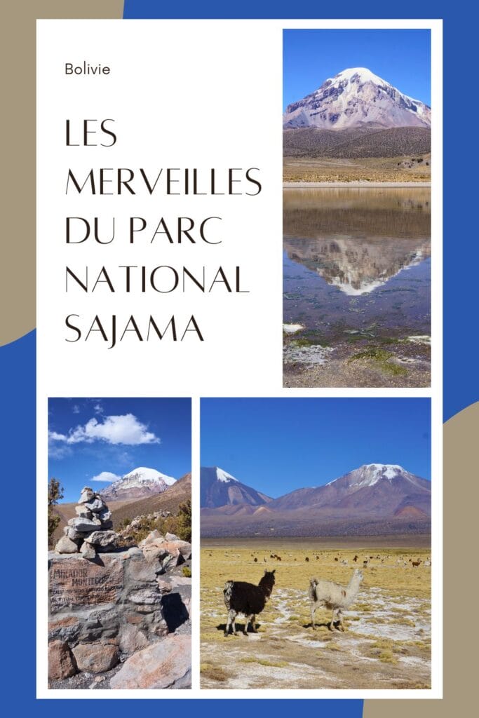 visiter le parc national Sajama. en Bolivie