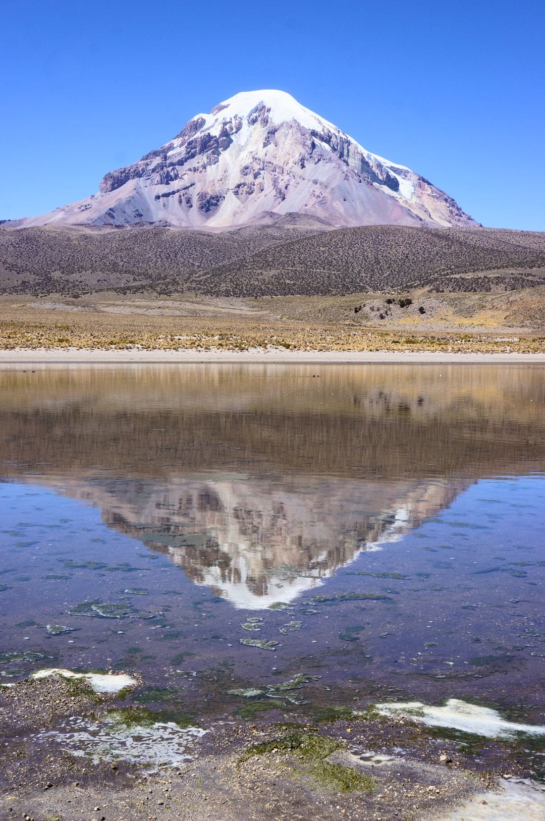 The must-see Sajama and Lauca Parks between Bolivia and Chile!