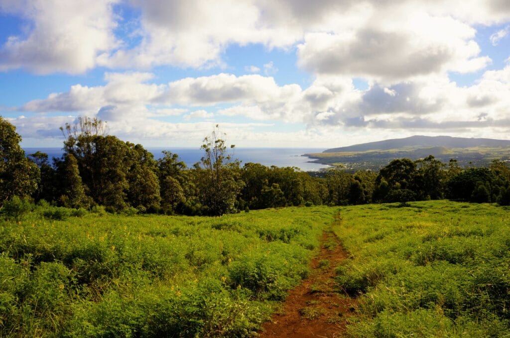 Vue sur Hanga Roa depuis le sentier