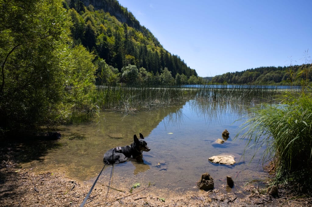 lac jura fracais