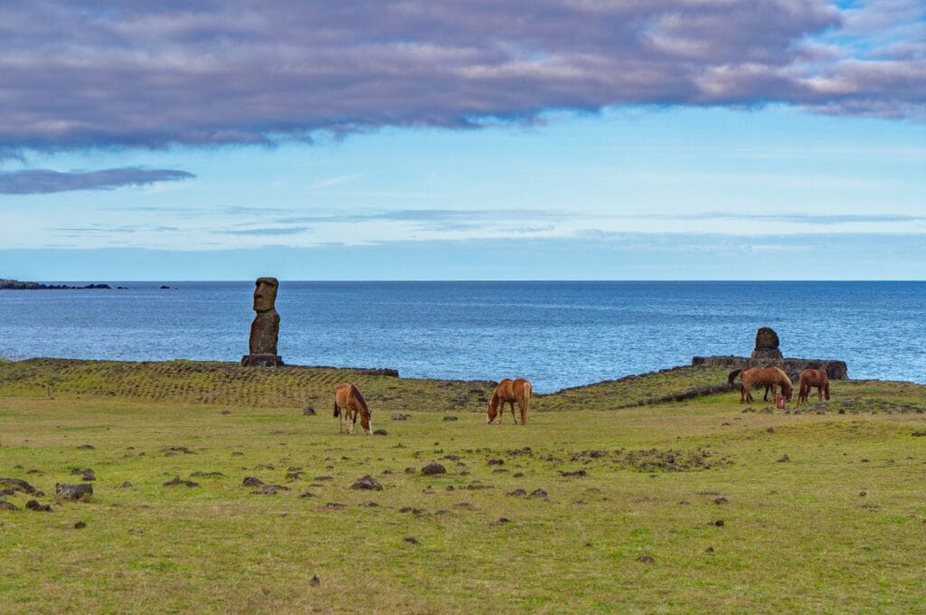 free-roaming horses at the Hanga Kioa watchtower