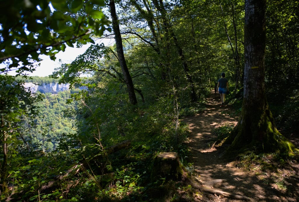 randonnée en forêt baume les messieurs