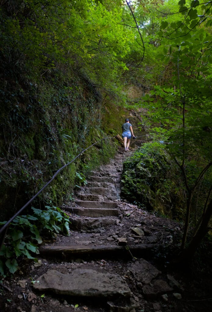 montée belvedere baume les messieurs