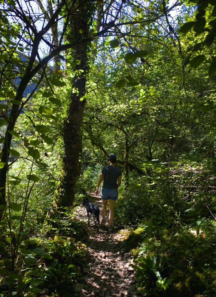 sentier de forêt baume les messieurs