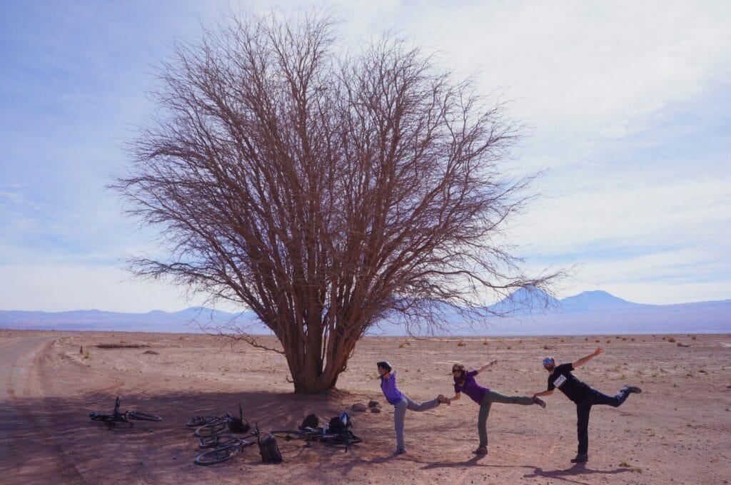 dans le désert d'Atacama au Chili