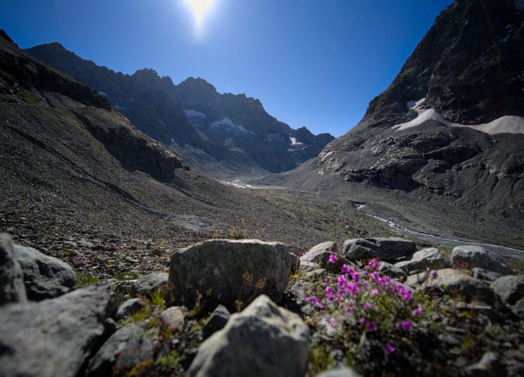 le vallon qui nous emmène vers le haut glacier d'arolla