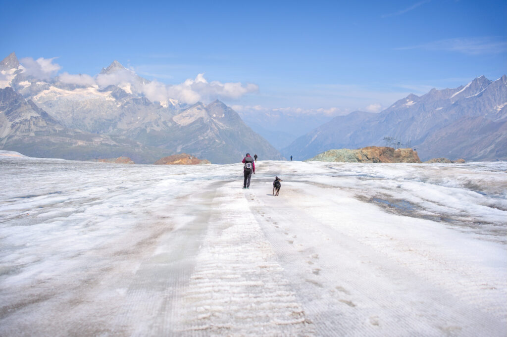 la descente du glacier de Théodule sur la piste