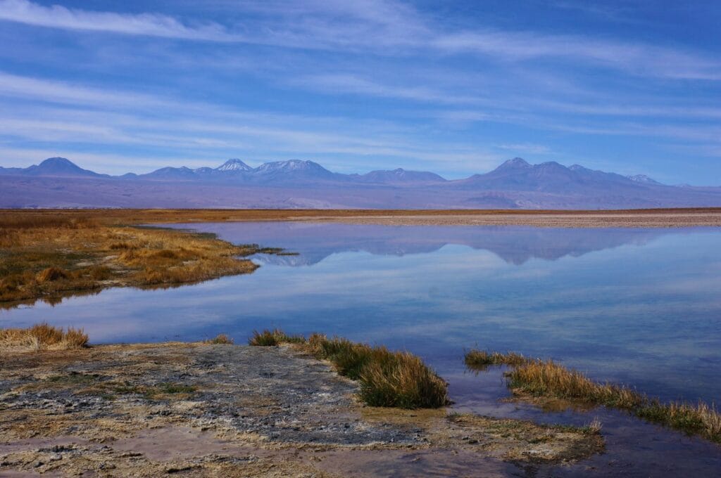 la laguna cejar dans le désert d'Atacama