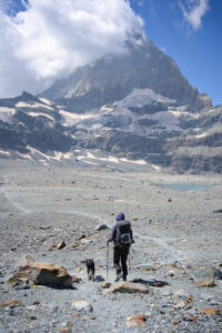 hiking with poles