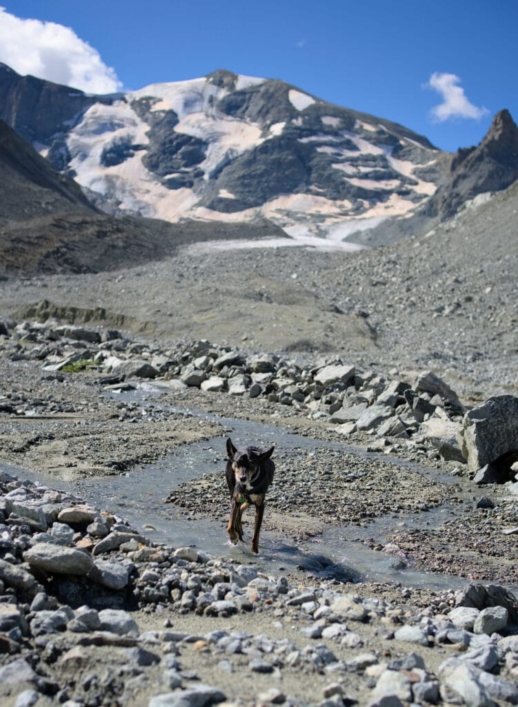 Winchy et les glaciers