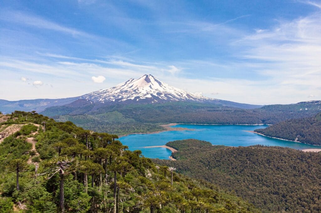 the conguillio lagoon in chile's national park