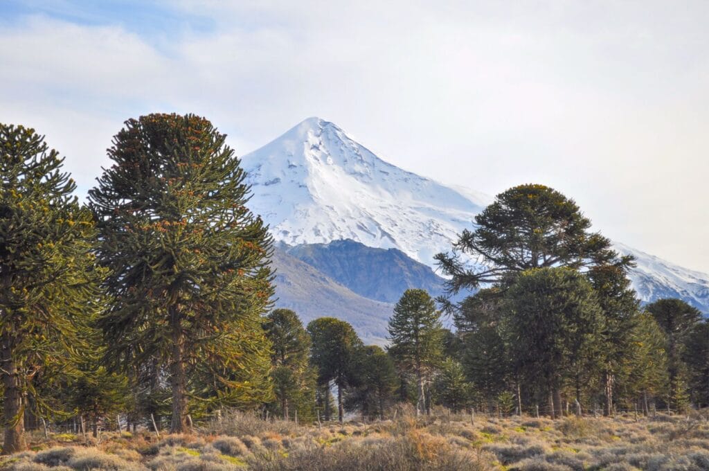 le volcan lanin en argentine