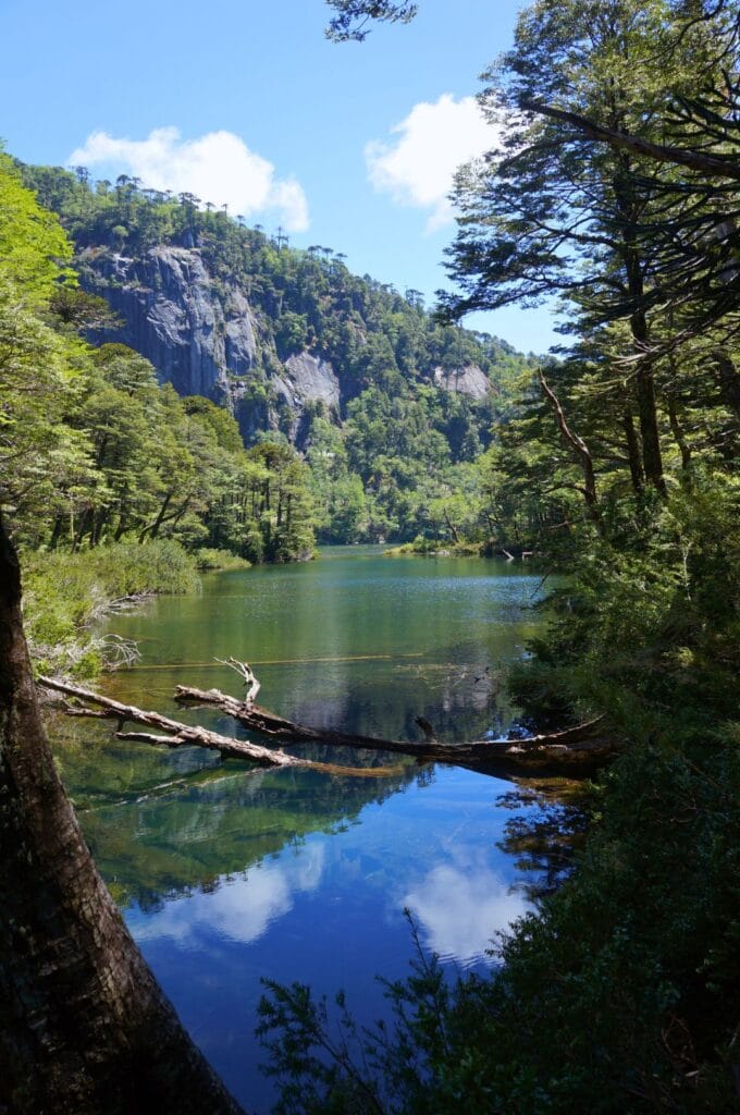 lac dans le parc national huerquehue au chili