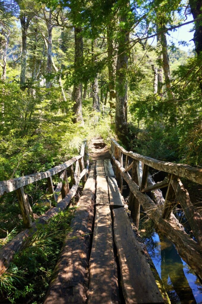 pont dans le parc huerquehue