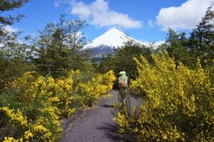 le Sendero Paso Desolación entouré de retamas