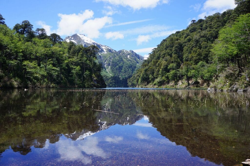 le lac toro dans le parc national huerquehue au chili