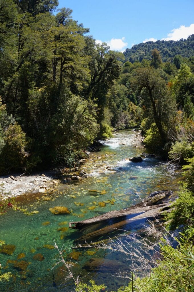 rivière dans le parc Vicente Pérez Rosales