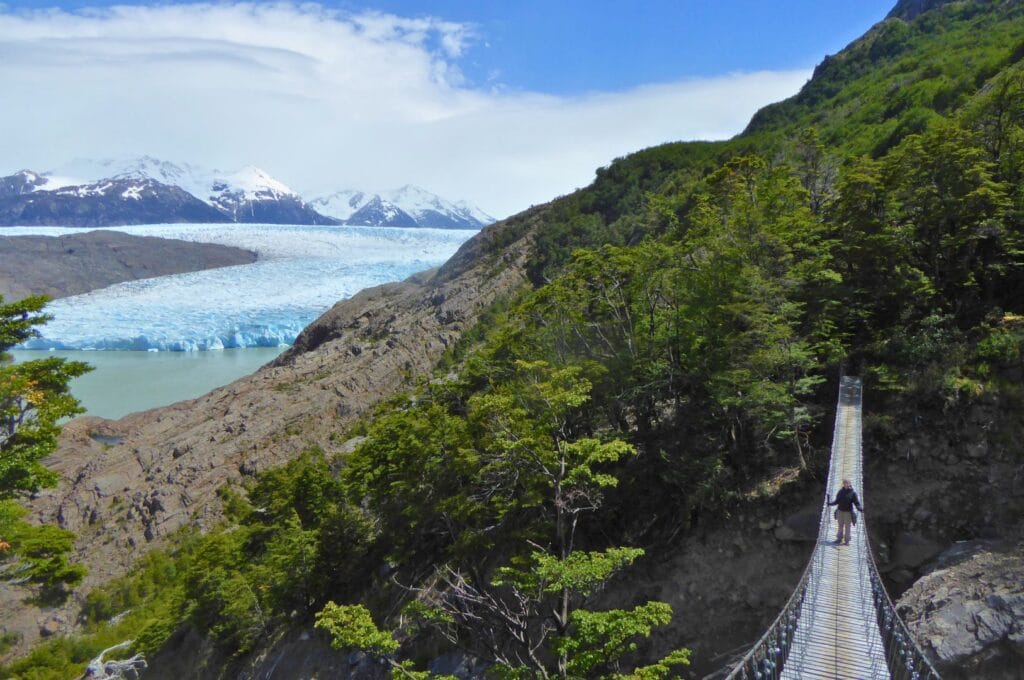 one of the suspension bridges that leads to the Grey Glacier viewpoint