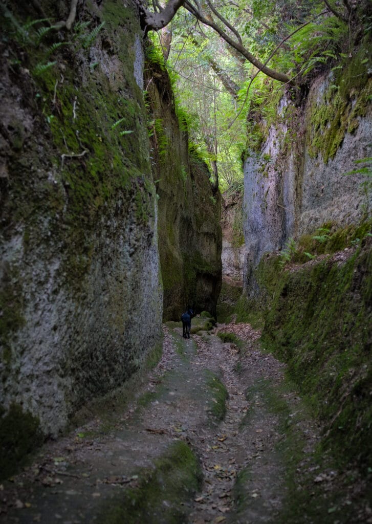 canyon toscane