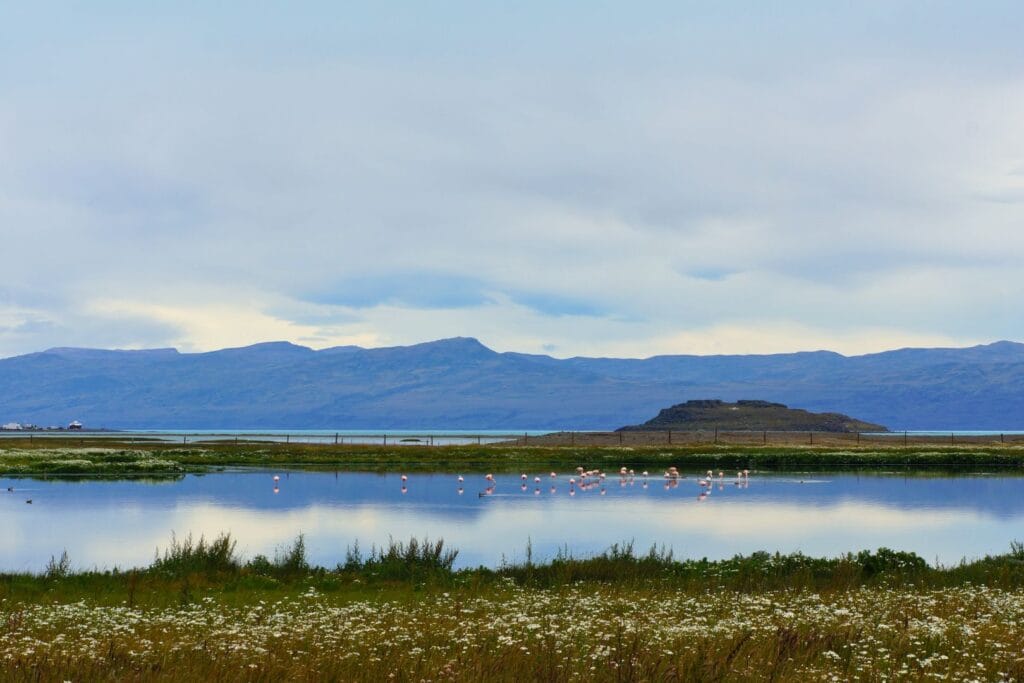 view of the lagoon from the Laguna Nimez municipal ecological reserve in El Calafate