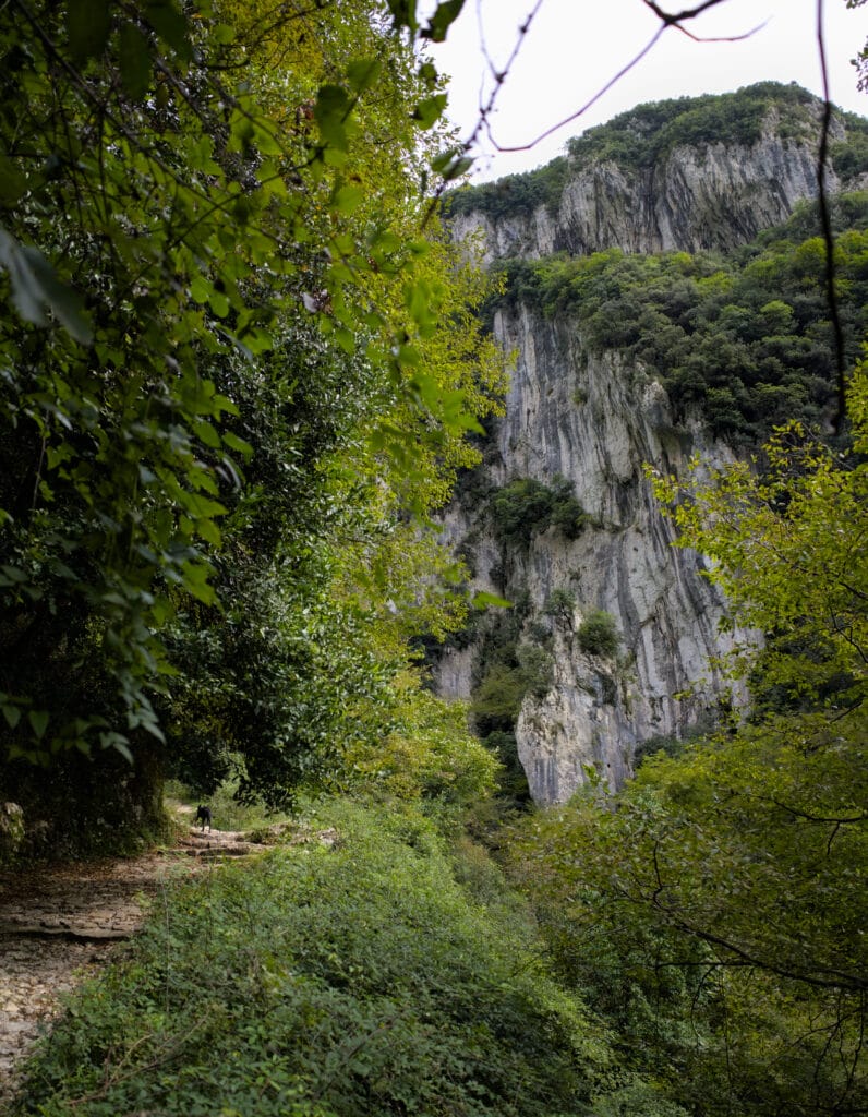 la falaise calcaire du Monte Penna