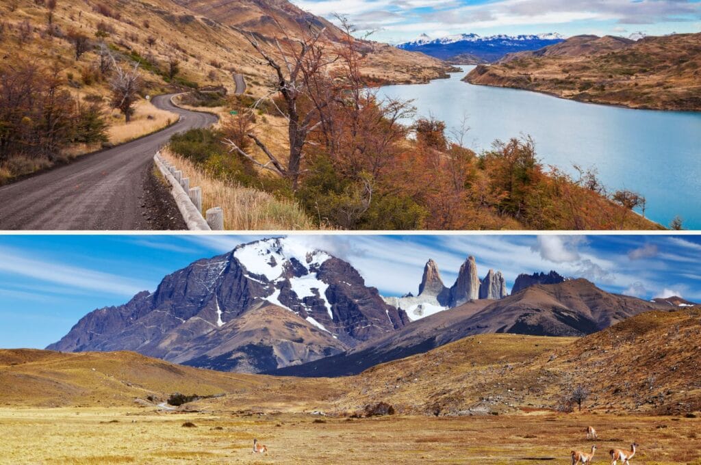 l'automne dans le parc Torres del Paine