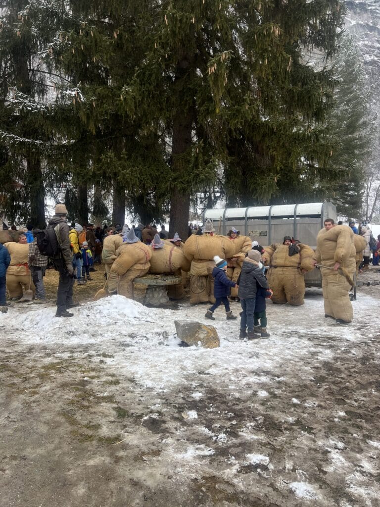 empaillage carnaval parc de la dent blanche