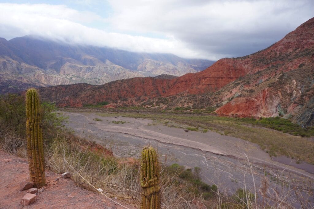 le parc national Los Cardones au sud de Salta