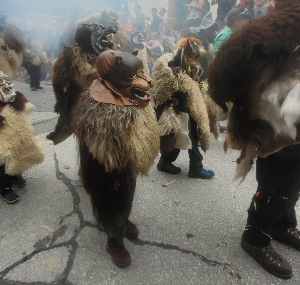 peluches evolène