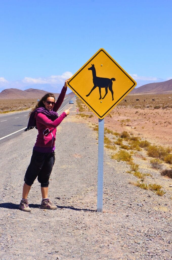 Fabienne et un panneau de lama durant le road trip autour de Salta