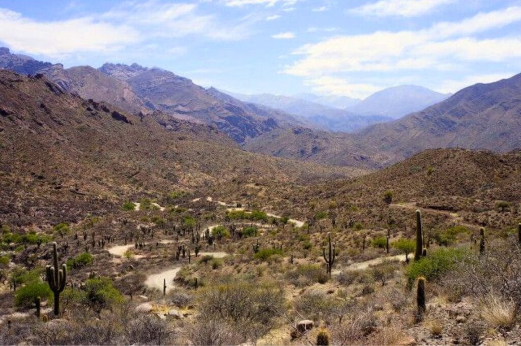 les ruines Tastil sur la boucle de Salta