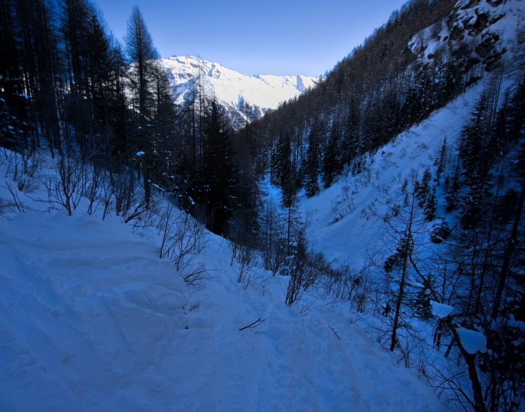 la forêt qui mène au lac d'Arbey