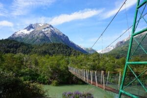 le volcan tronador