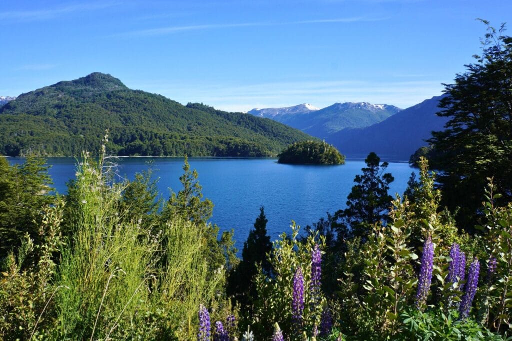 view of Lake Mascardi, lupines and mountains