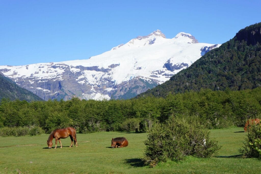 horses in front of the tronador volcano in Argentina